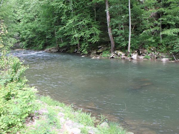 390 Big Sycamore Road, Webster Springs, WV 26288