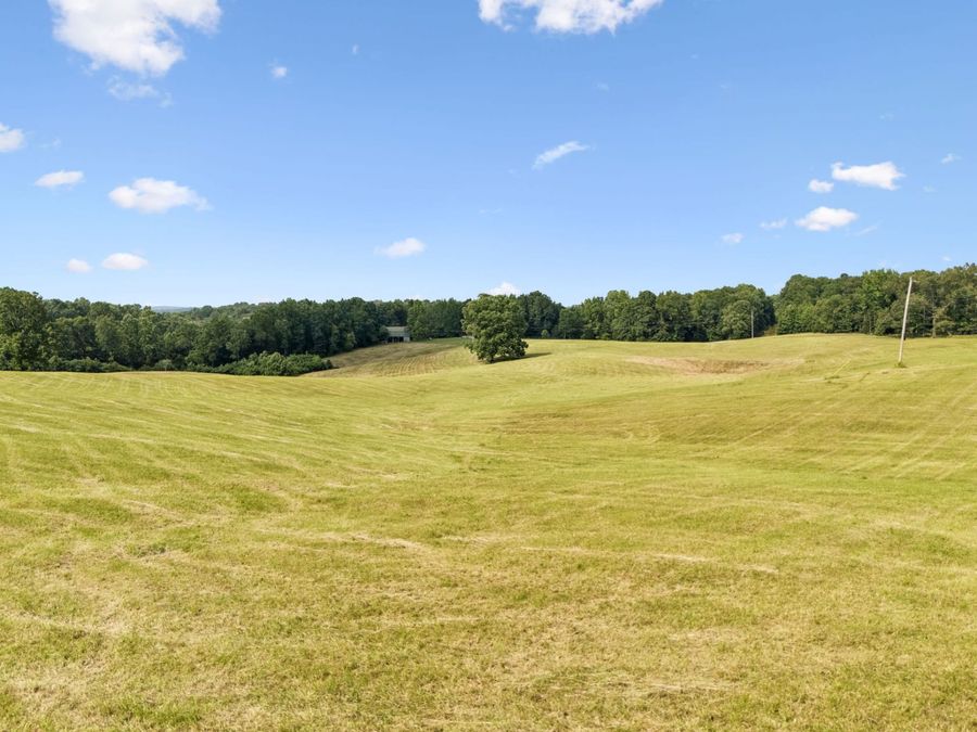 Property Image 59