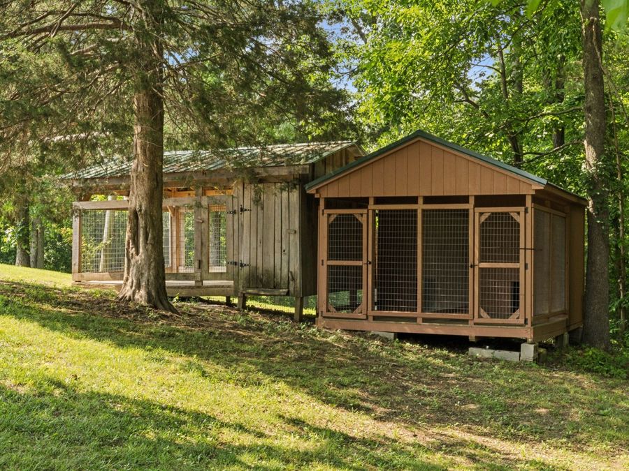 Property Image 62