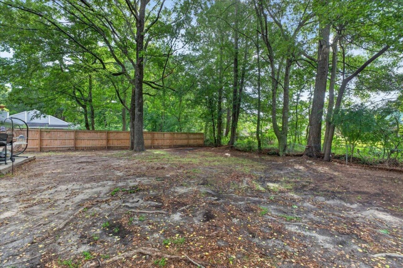 160 Mickler Drive Photo 48