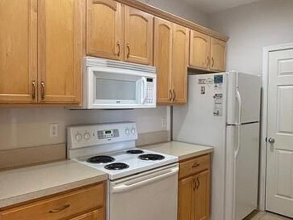 17059 S BRANDT STREET , Unit 3206, LEWES, DE 19958