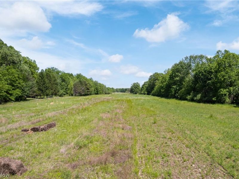 15494 Wheeler Road, Lagrange, OH 44050 Photo 37