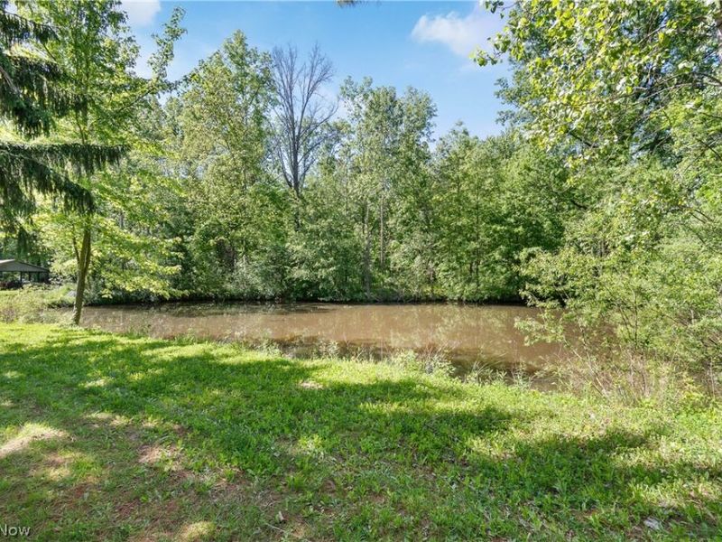 15494 Wheeler Road, Lagrange, OH 44050 Photo 39