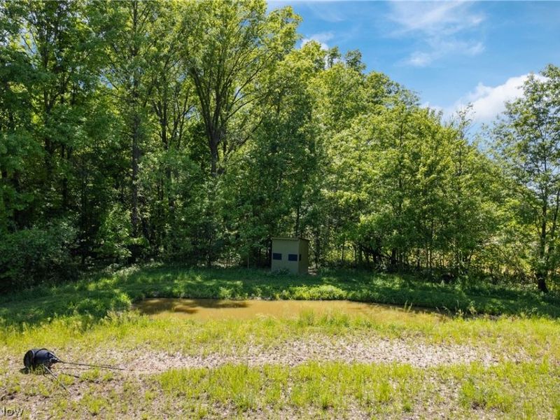 15494 Wheeler Road, Lagrange, OH 44050 Photo 40