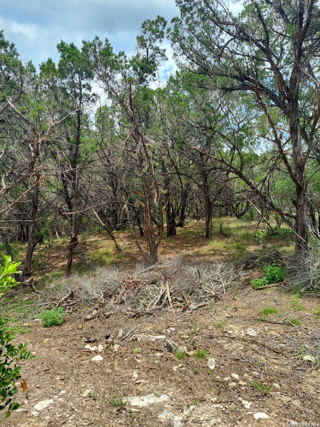 Lot 10 Canyon, Lakehills, TX 78063 Main Photo