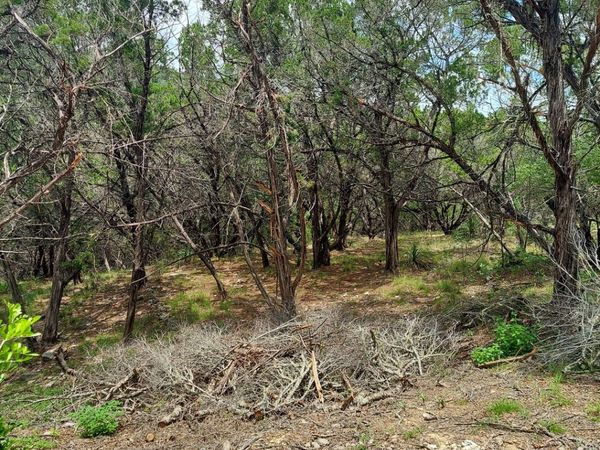 LOT 10 Canyon, Lakehills, TX 78063