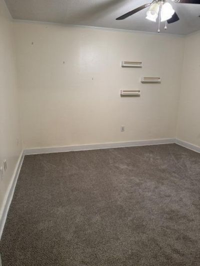 279 Mount Carmel Road Photo 17