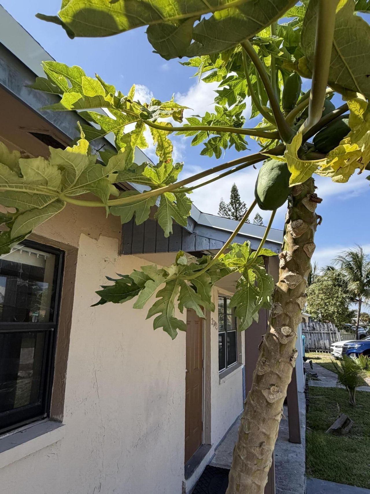 3243 Grove Road, Boynton Beach, FL 33435 Photo