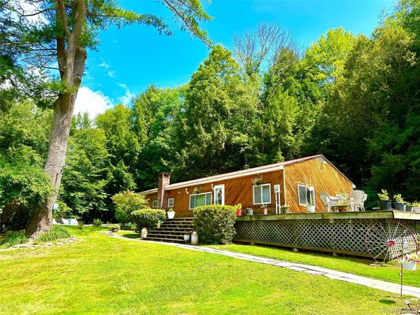 12 Mesmer , Callicoon, NY 12723