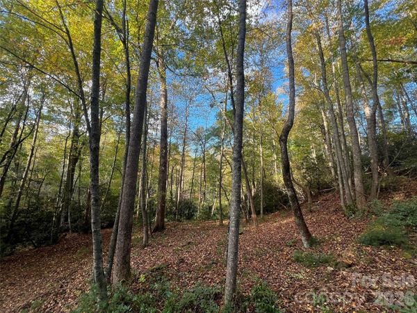6 Dividing Ridge Trail , Arden, NC 28704