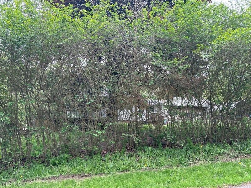 6604 Mapleton Street SE, East Canton, OH 44730 Photo 3