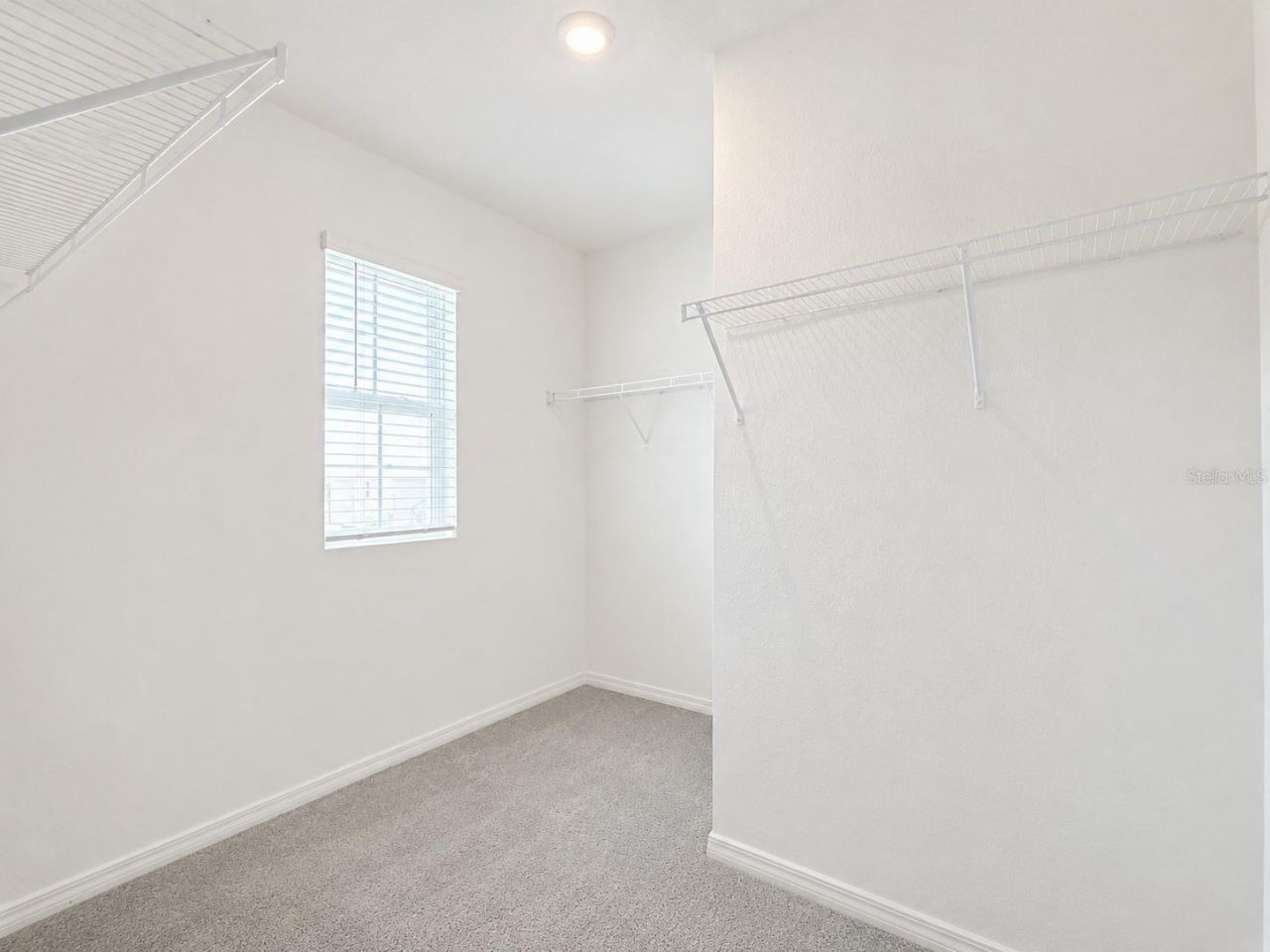 16091 Balboa Mist Court, Odessa, FL 33556 Photo