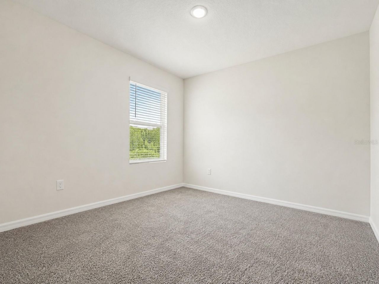 16091 Balboa Mist Court, Odessa, FL 33556 Photo