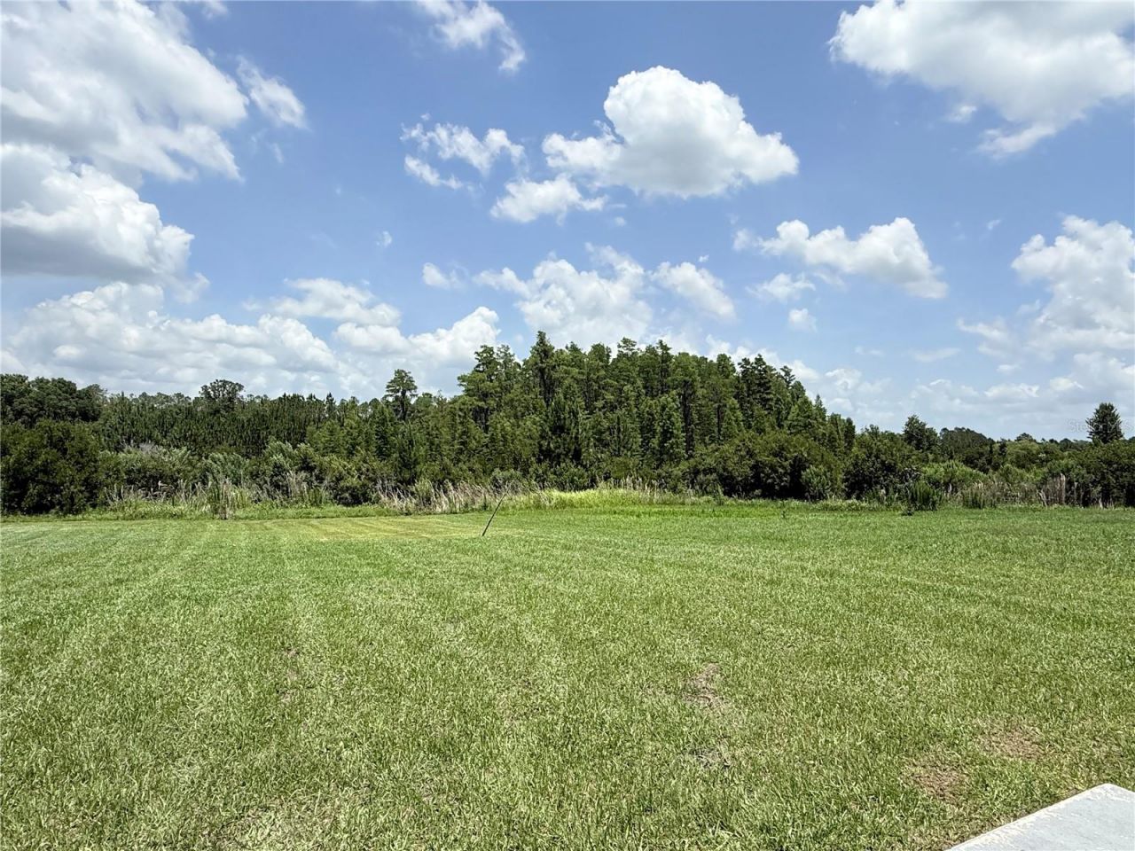 16091 Balboa Mist Court, Odessa, FL 33556 Photo