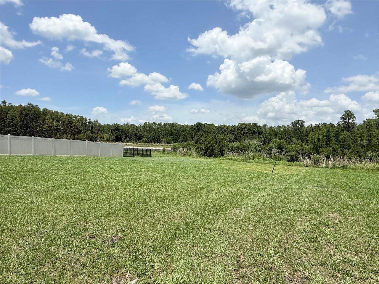 16091 Balboa Mist Court, Odessa, FL 33556 Photo