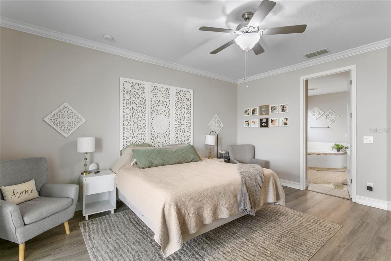 10506 Alcon Blue Drive, Riverview, FL 33578 Photo