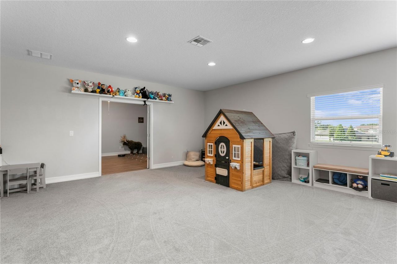 10506 Alcon Blue Drive, Riverview, FL 33578 Photo