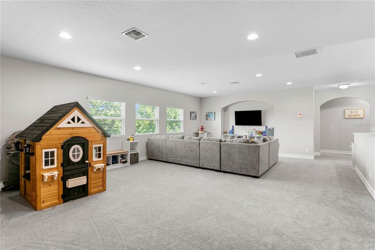 10506 Alcon Blue Drive, Riverview, FL 33578 Photo