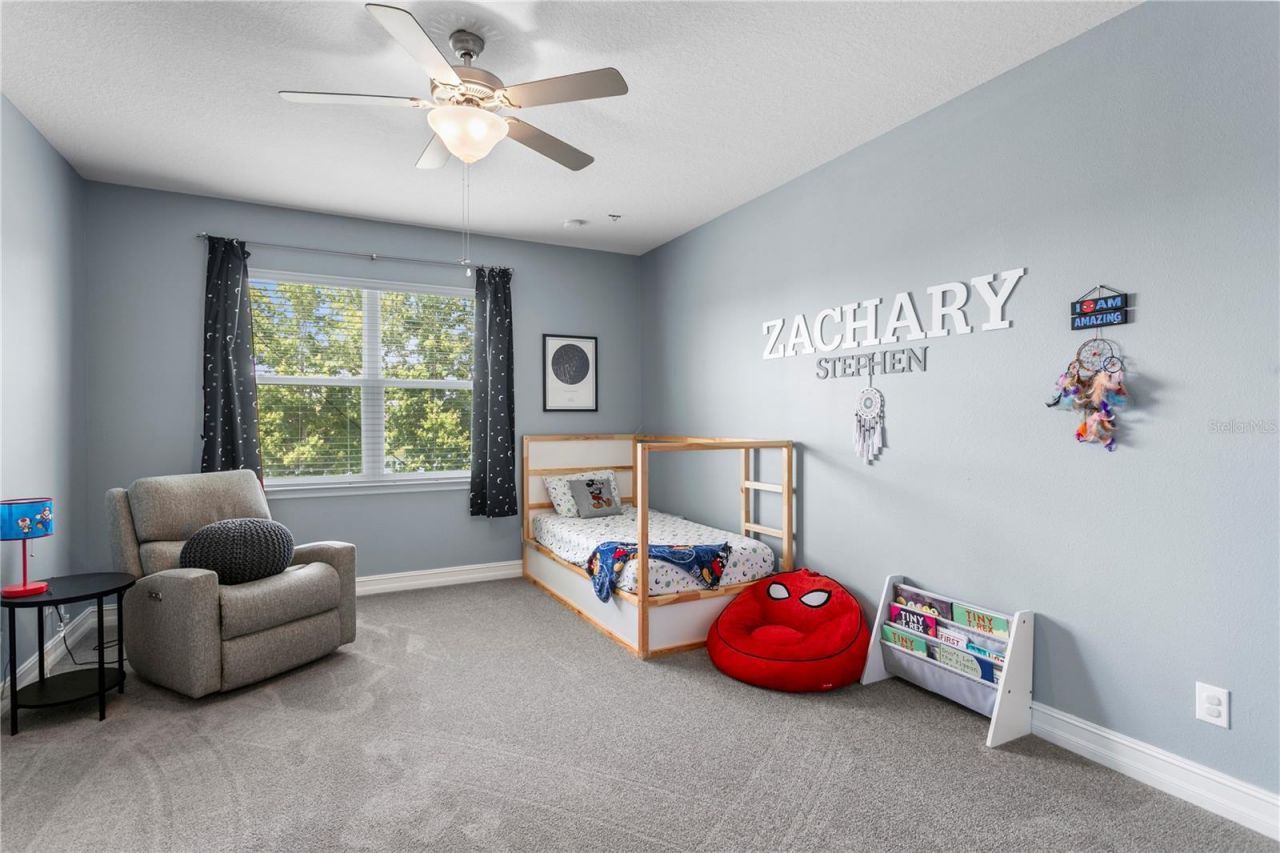 10506 Alcon Blue Drive, Riverview, FL 33578 Photo