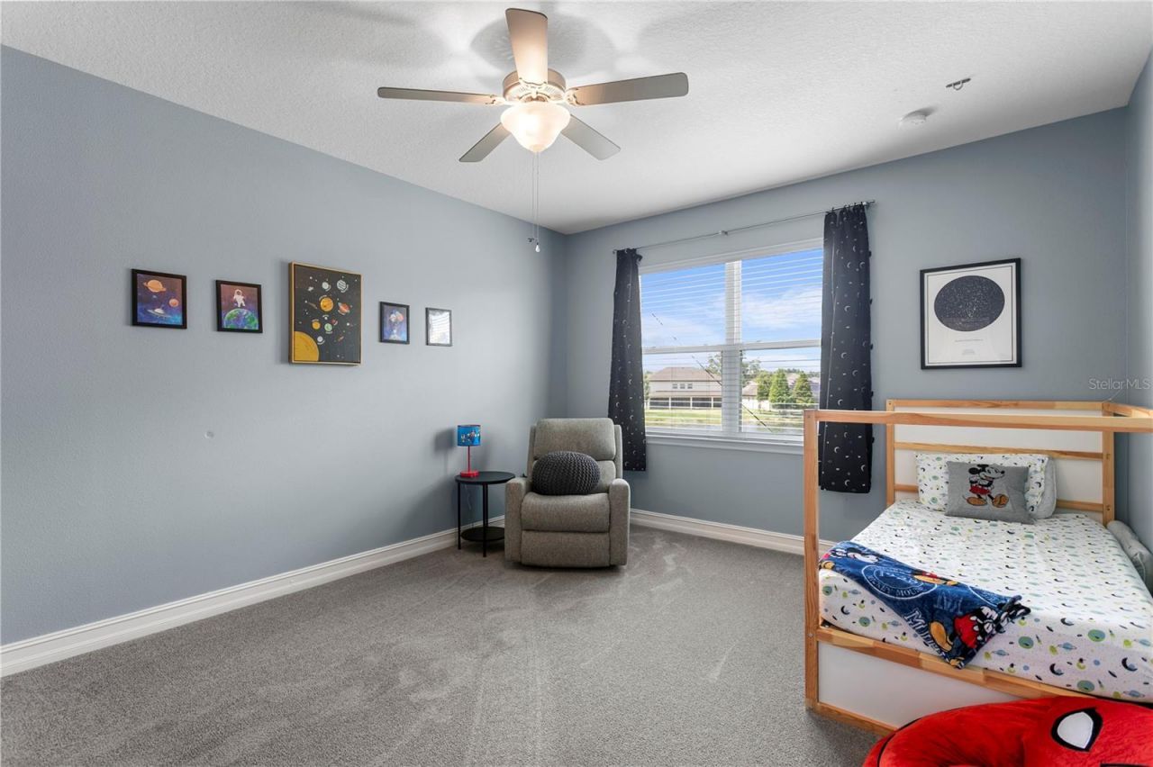 10506 Alcon Blue Drive, Riverview, FL 33578 Photo