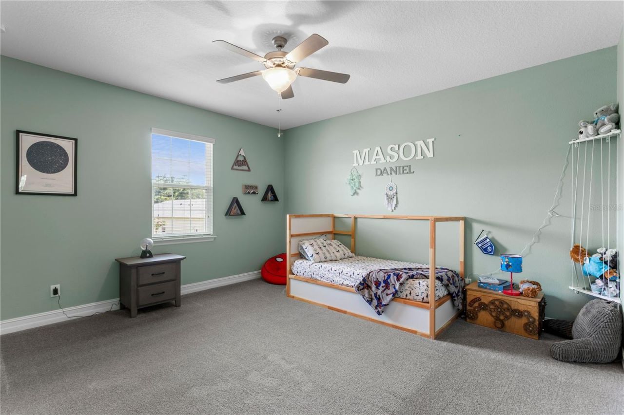 10506 Alcon Blue Drive, Riverview, FL 33578 Photo
