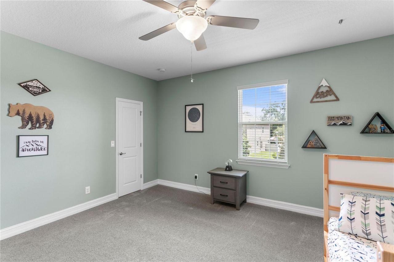 10506 Alcon Blue Drive, Riverview, FL 33578 Photo