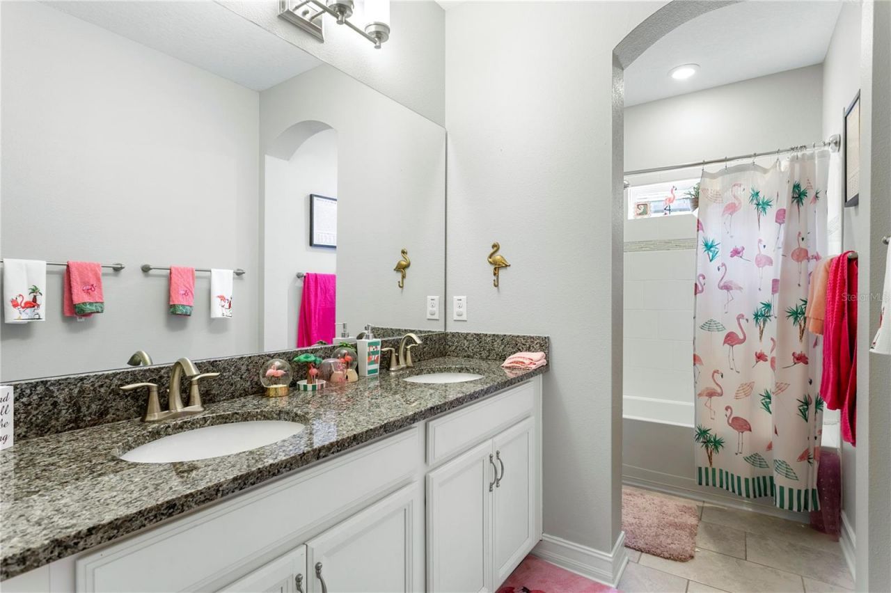 10506 Alcon Blue Drive, Riverview, FL 33578 Photo