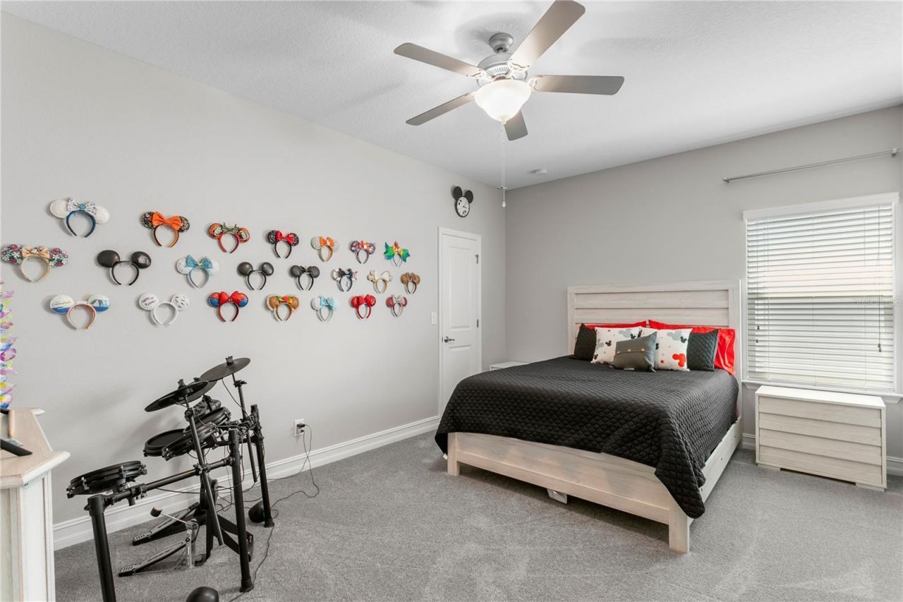 10506 Alcon Blue Drive, Riverview, FL 33578 Photo