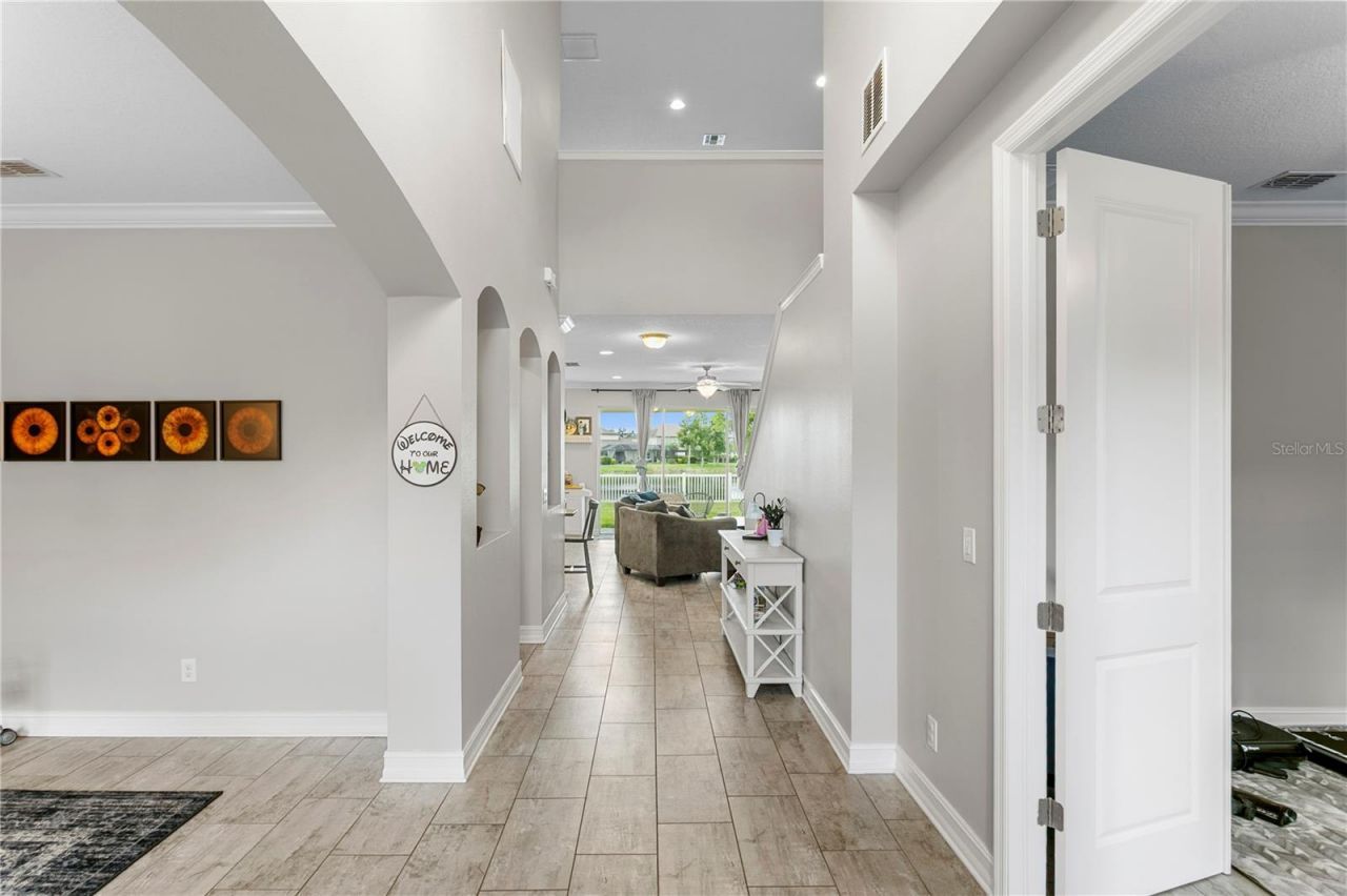 10506 Alcon Blue Drive, Riverview, FL 33578 Photo