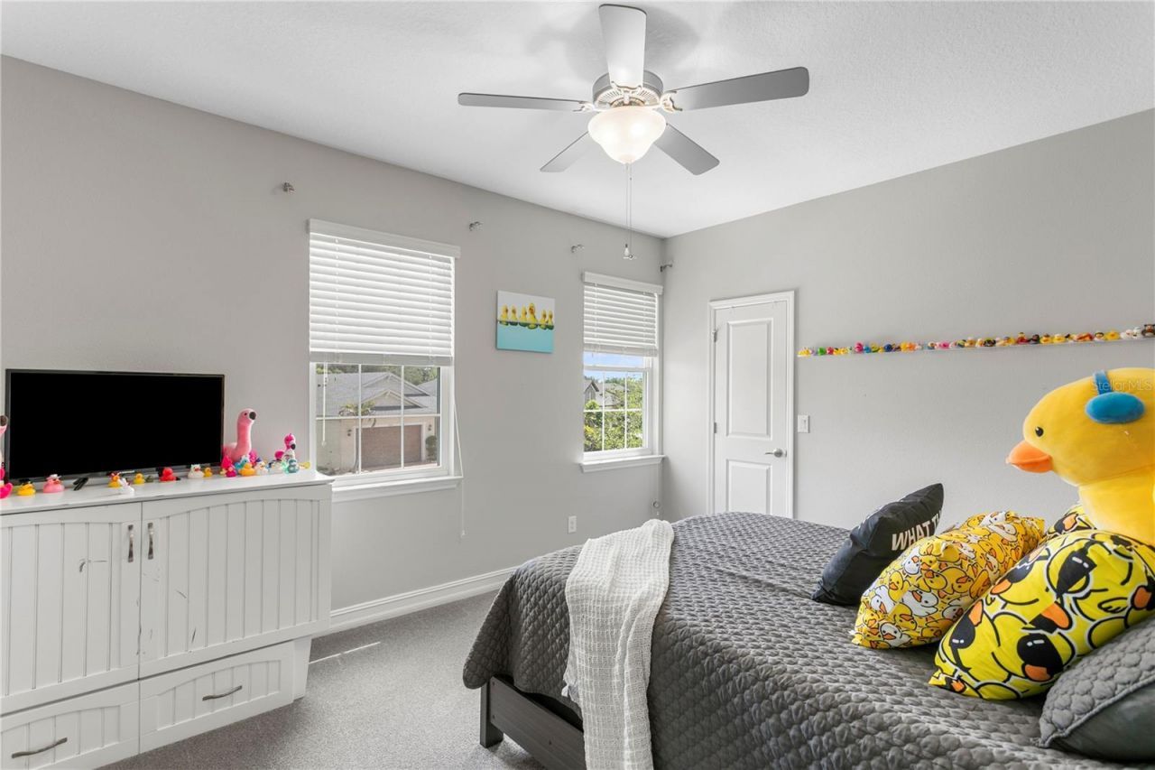 10506 Alcon Blue Drive, Riverview, FL 33578 Photo
