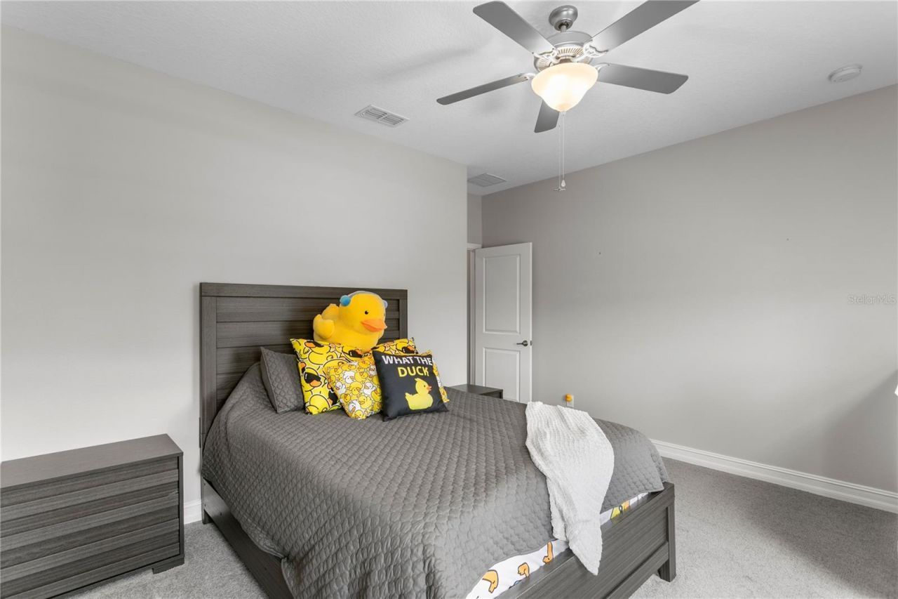 10506 Alcon Blue Drive, Riverview, FL 33578 Photo