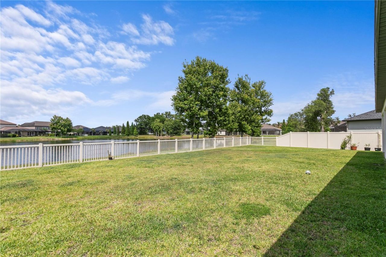 10506 Alcon Blue Drive, Riverview, FL 33578 Photo