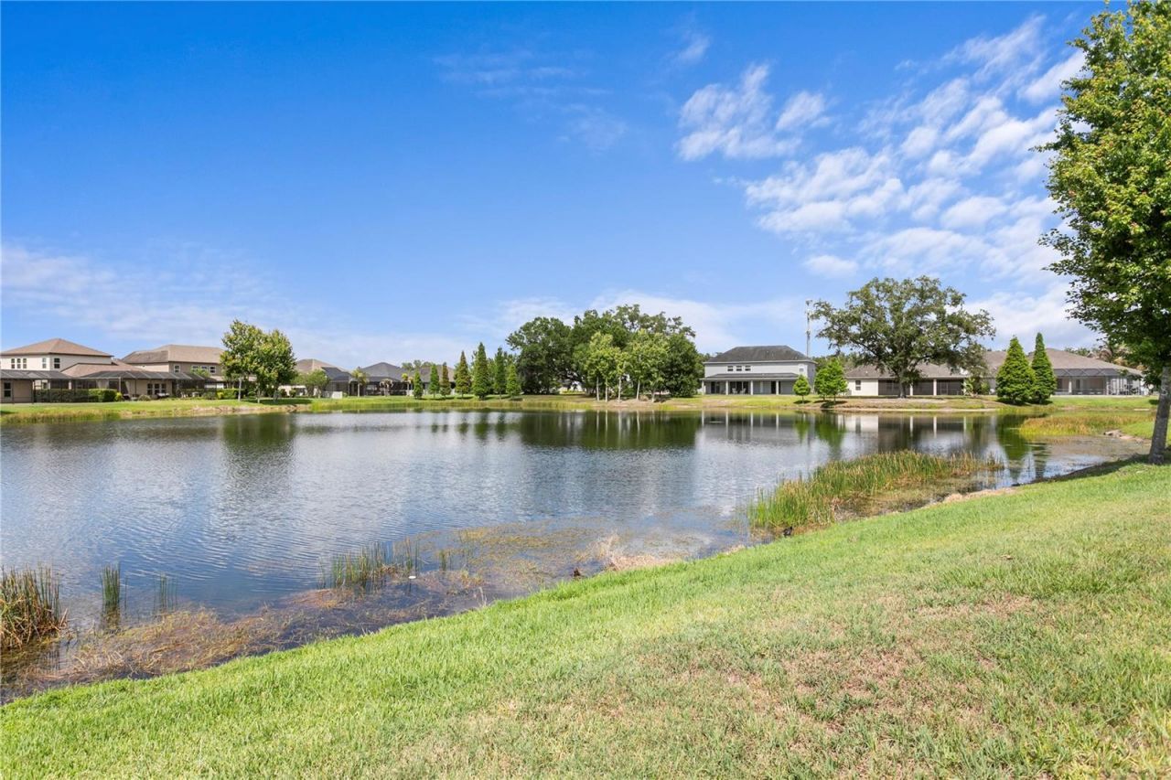 10506 Alcon Blue Drive, Riverview, FL 33578 Photo