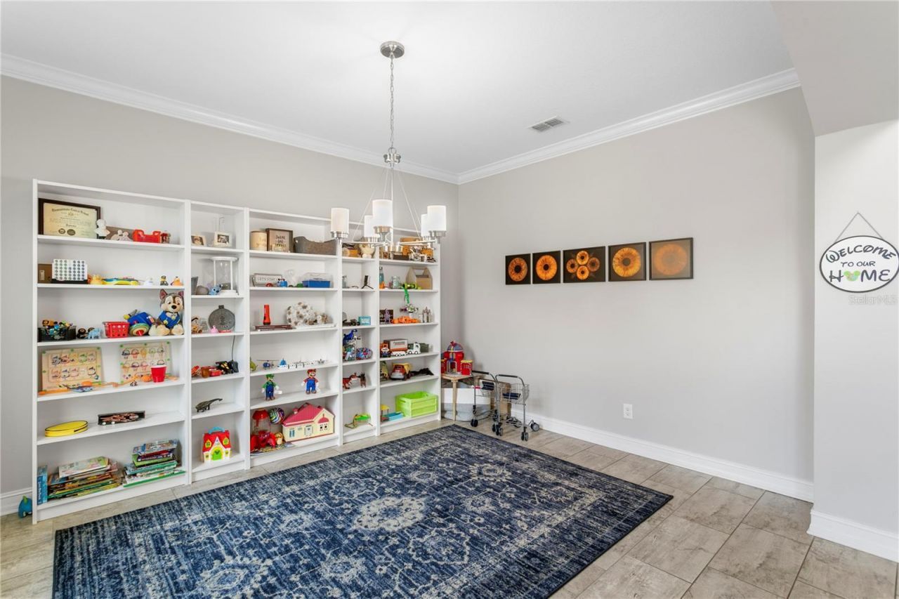 10506 Alcon Blue Drive, Riverview, FL 33578 Photo