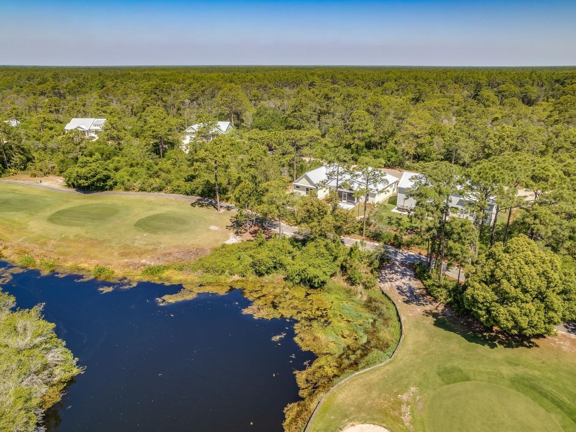 381 Royal Tern Way , Carrabelle, FL 32323 Photo