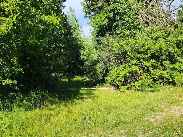 574 Caleb Road, Braidwood, IL 60408