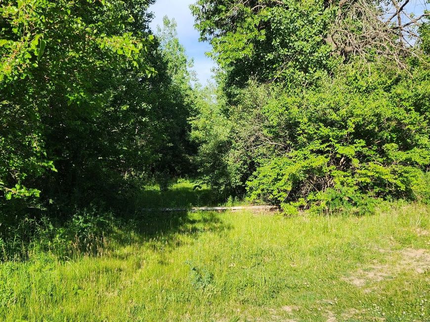 Main Photo