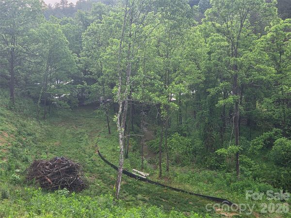 374 Big Branch Drive, Mars Hill, NC 28754