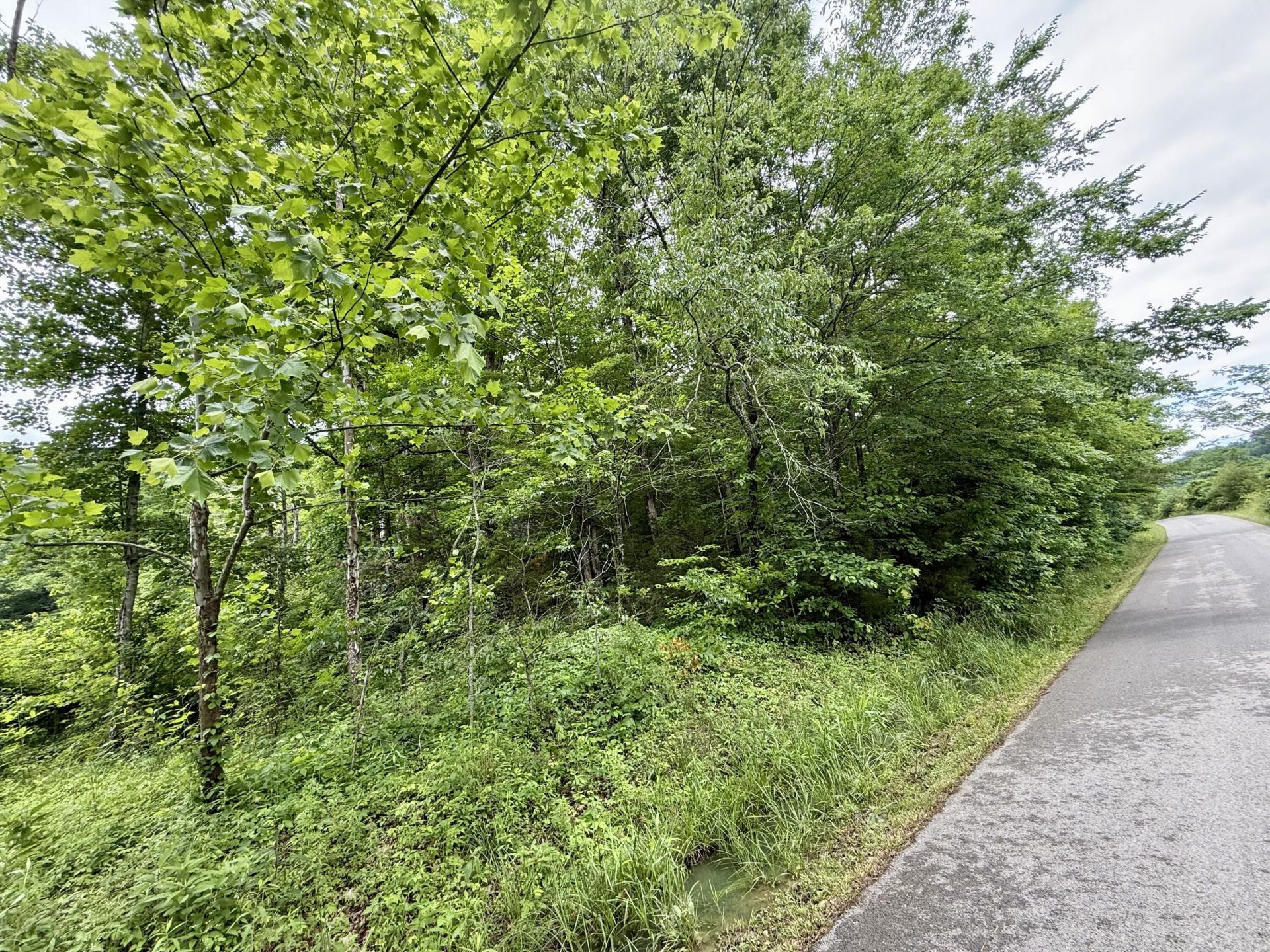 1350 Owens Branch Road, Dunnville, KY 42528