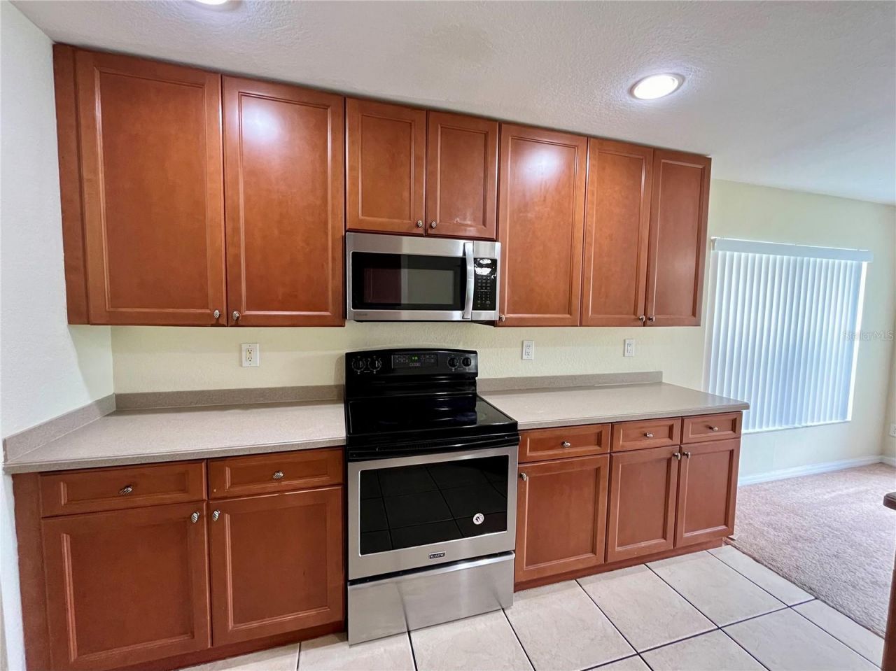 11534 Bay Gardens Loop, Riverview, FL 33569 Photo