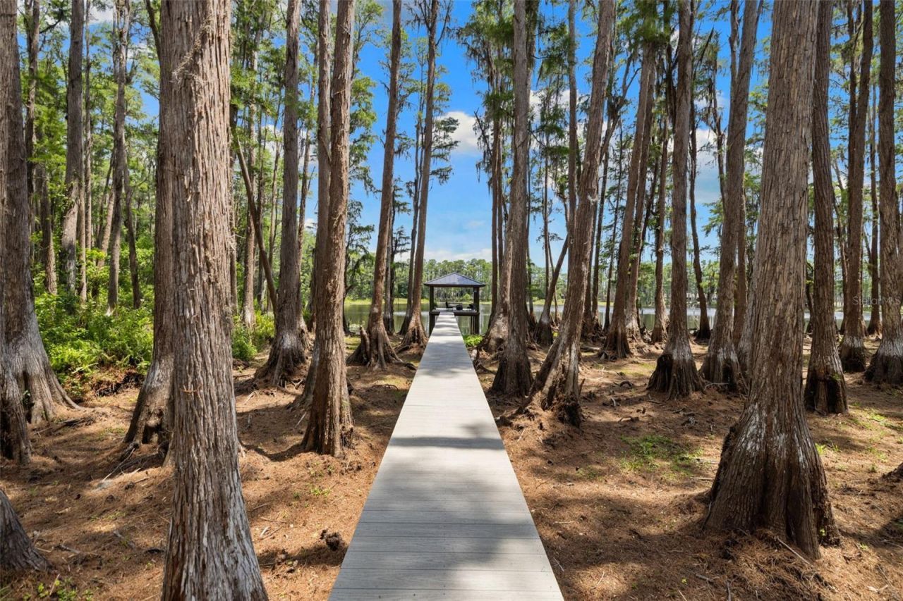 18562 Council Crest Drive, Odessa, FL 33556 Photo