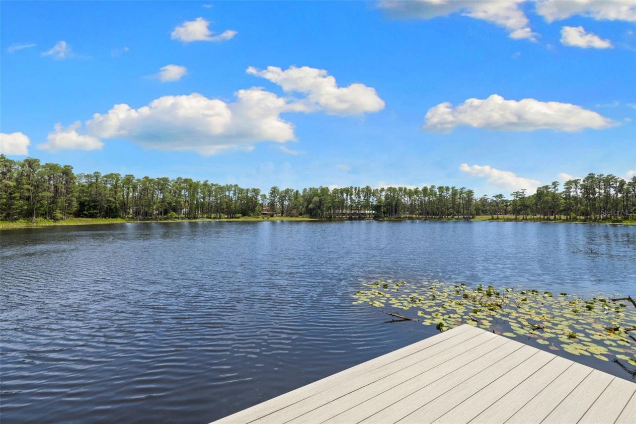 18562 Council Crest Drive, Odessa, FL 33556 Photo