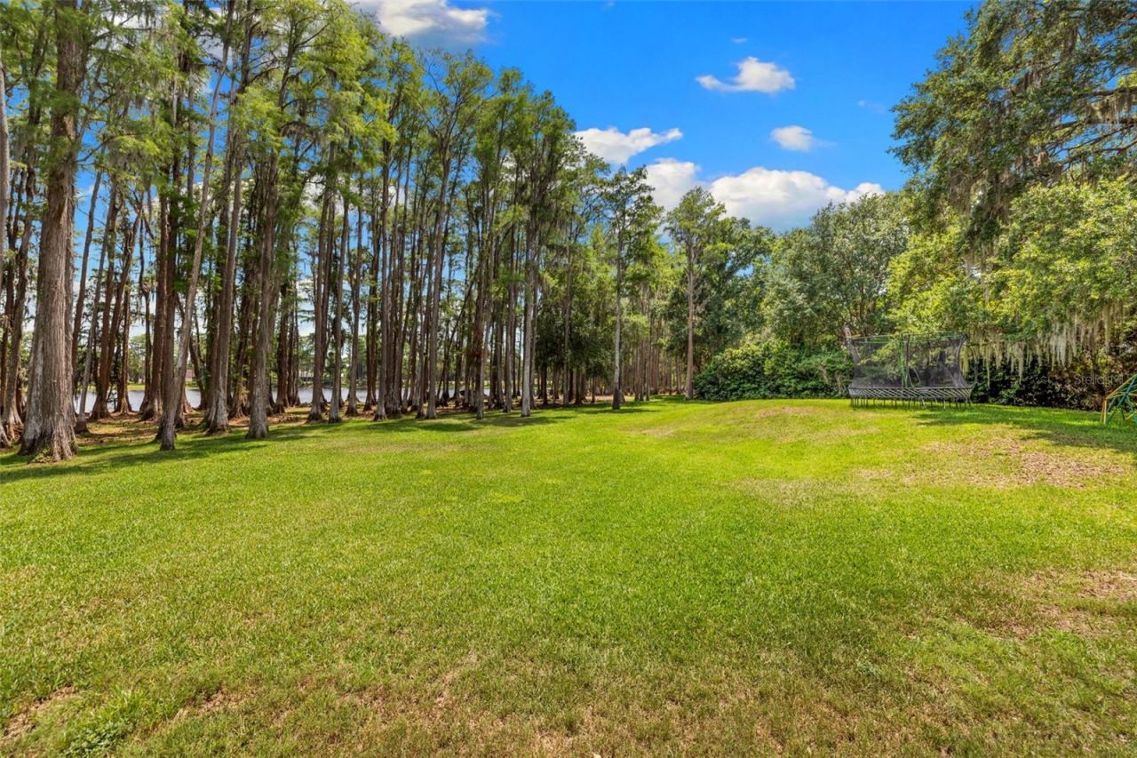 18562 Council Crest Drive, Odessa, FL 33556 Photo