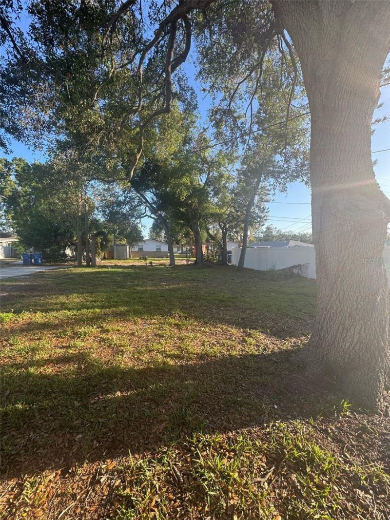 342 51st Avenue N, Saint Petersburg, FL 33703 Photo