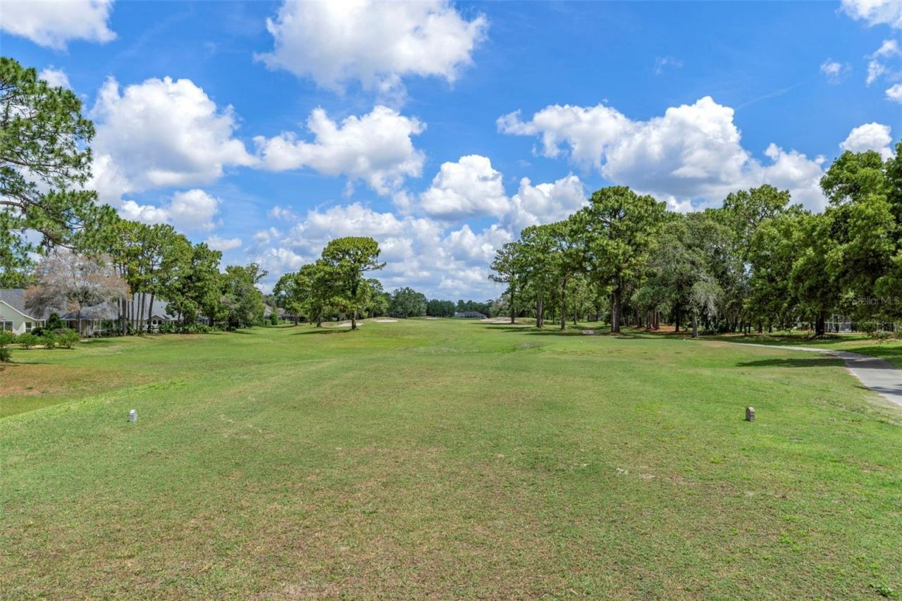 5205 Legend Hills Lane, Brooksville, FL 34609 Photo