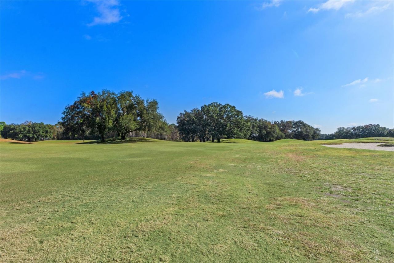 5205 Legend Hills Lane, Brooksville, FL 34609 Photo