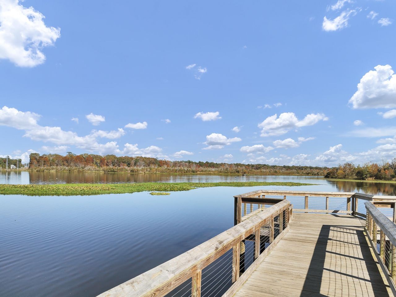 1308 Camden Crossing Photo 45