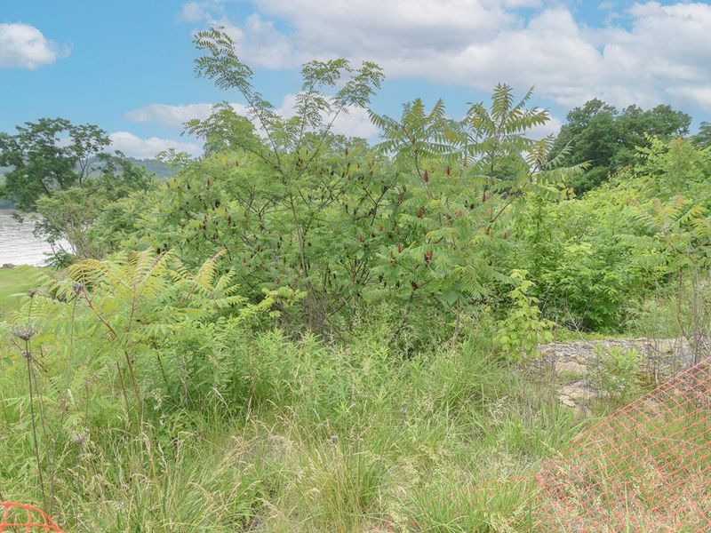 4768 River Road, Hebron, KY 41048 Photo 10