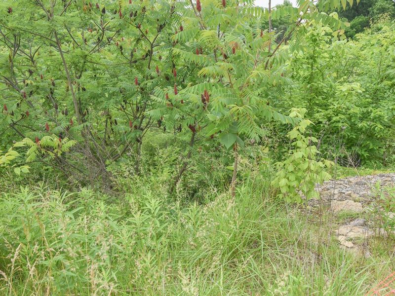 4768 River Road, Hebron, KY 41048 Photo 11