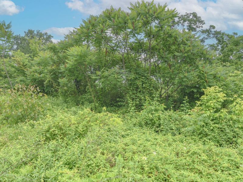 4768 River Road, Hebron, KY 41048 Photo 6